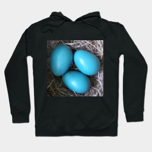 Robin Blue Eggs in Nest Hoodie
